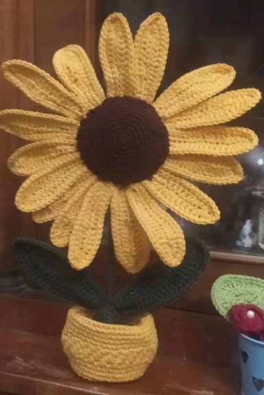 girasole