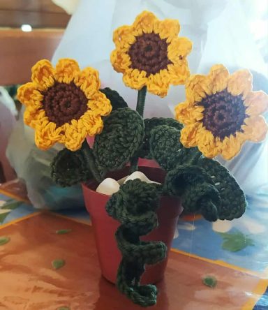 girasoli